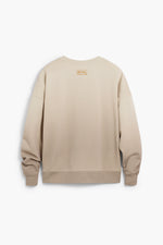 Desigual Noah Sweatshirt