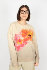 Desigual Noah Sweatshirt