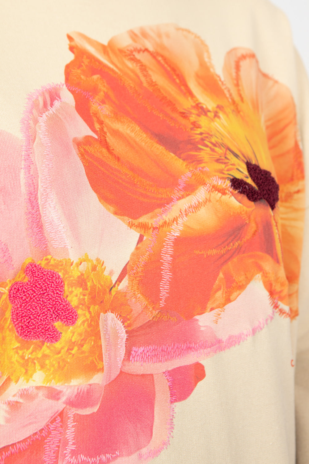 Desigual Noah Sweatshirt