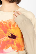 Desigual Noah Sweatshirt