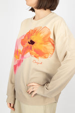 Desigual Noah Sweatshirt