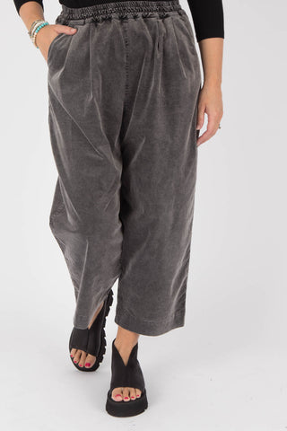 AMICI by Baci Velvet Pleated Trousers