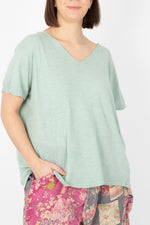 Magnolia Pearl Europa T